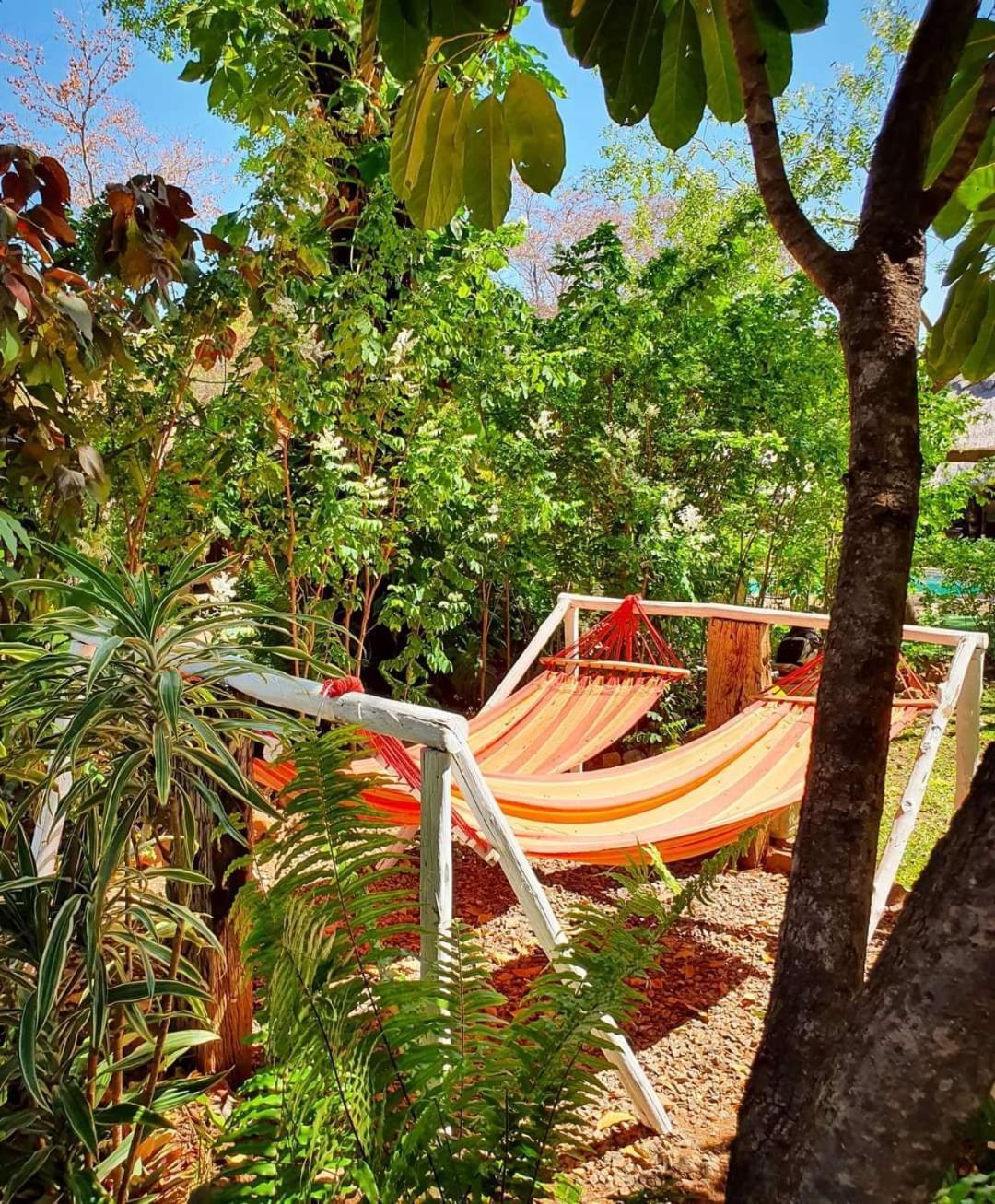 Victoria Falls Backpackers Lodge- Camp Sites Exterior foto